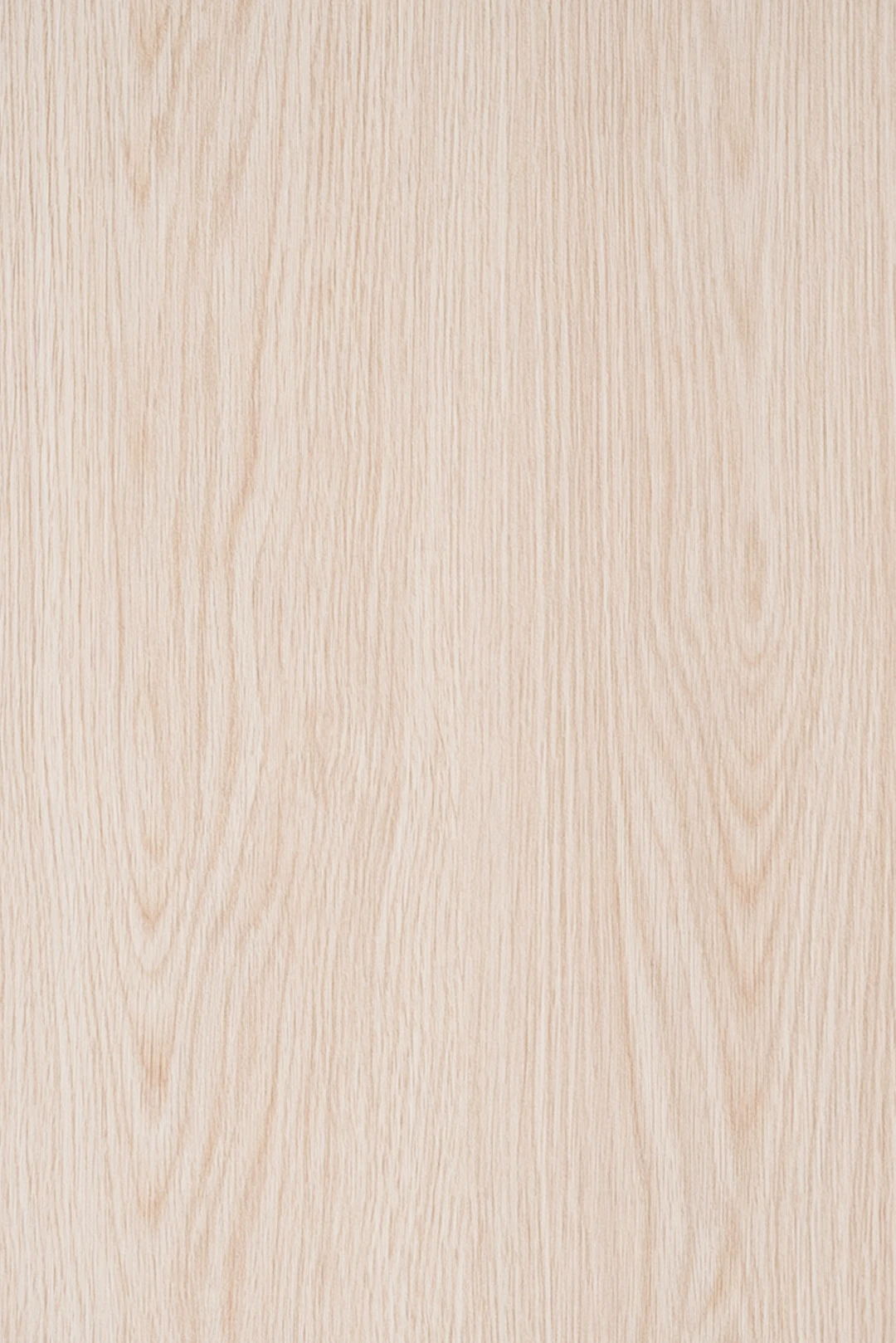 Roble Blanco